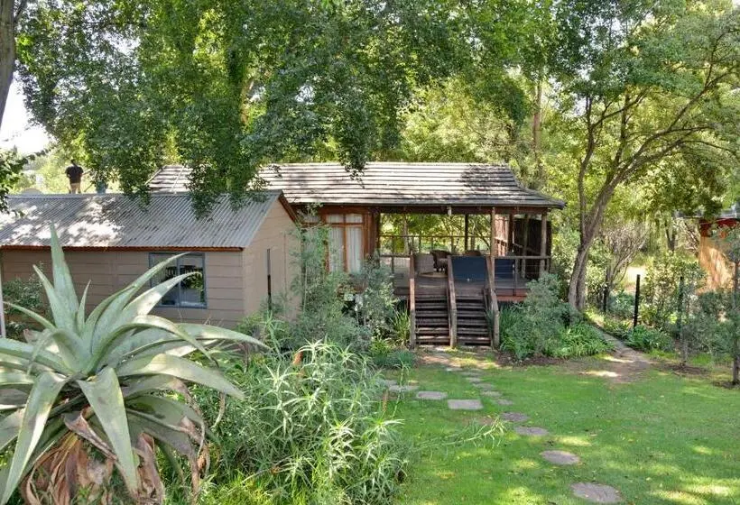 استودیوی استاندارد, Sand River Guest House