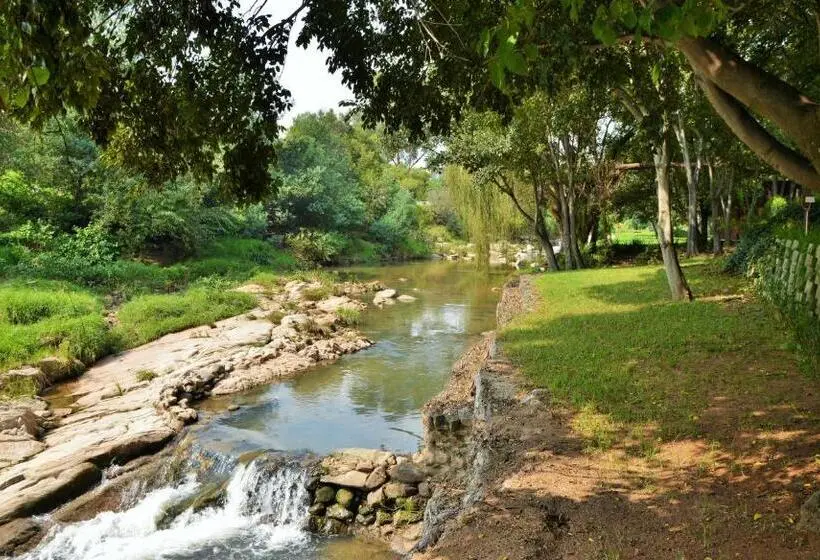 استودیوی استاندارد, Sand River Guest House