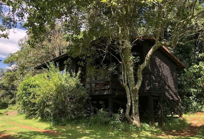 一居室别墅, Zur Alten Mine