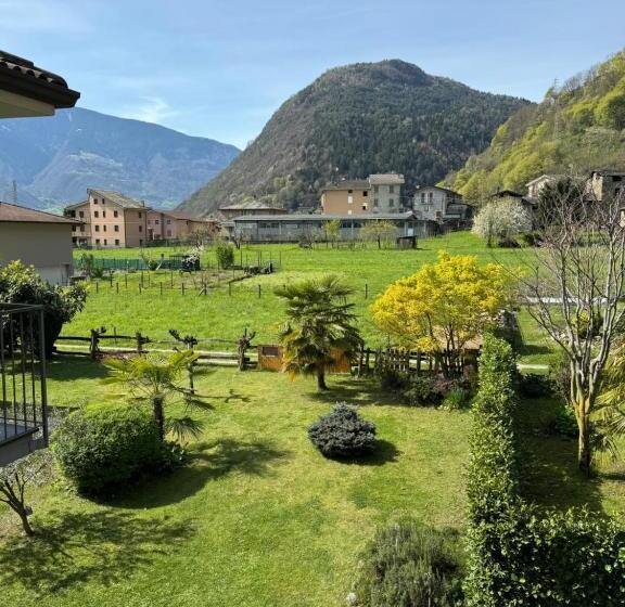 スタンダード４人部屋, Culmine