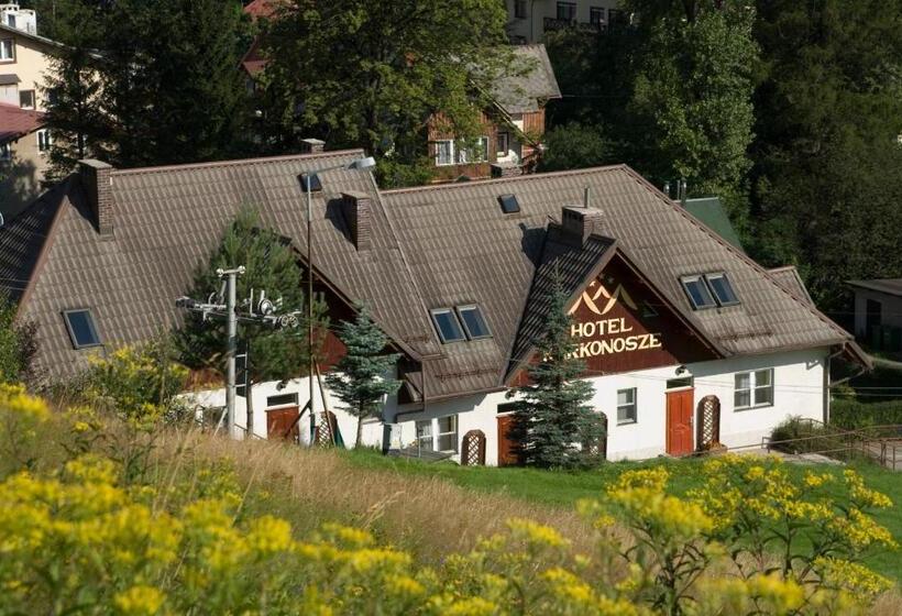 带3个卧室的公寓, Karkonosze