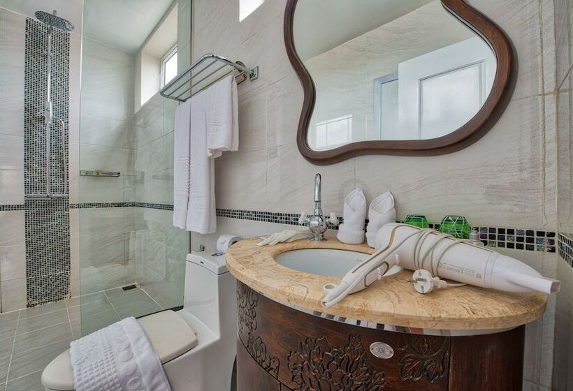 Номер Стандарт с Террасой, Mane La Résidence