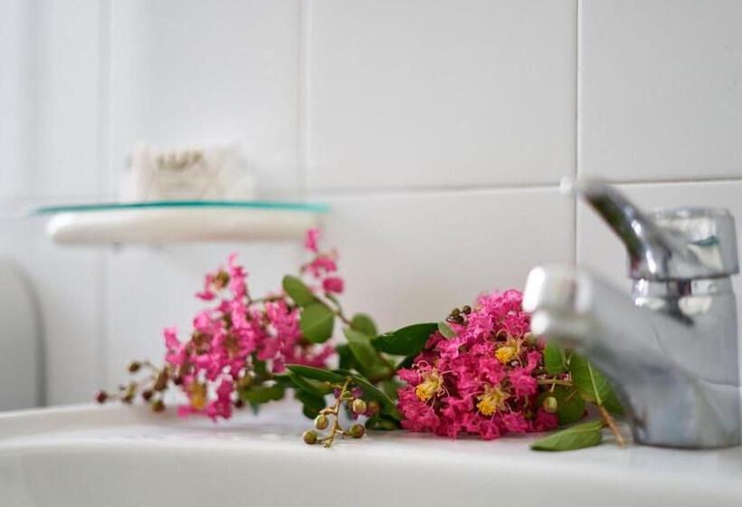 スタンダードルーム, Mazzurco