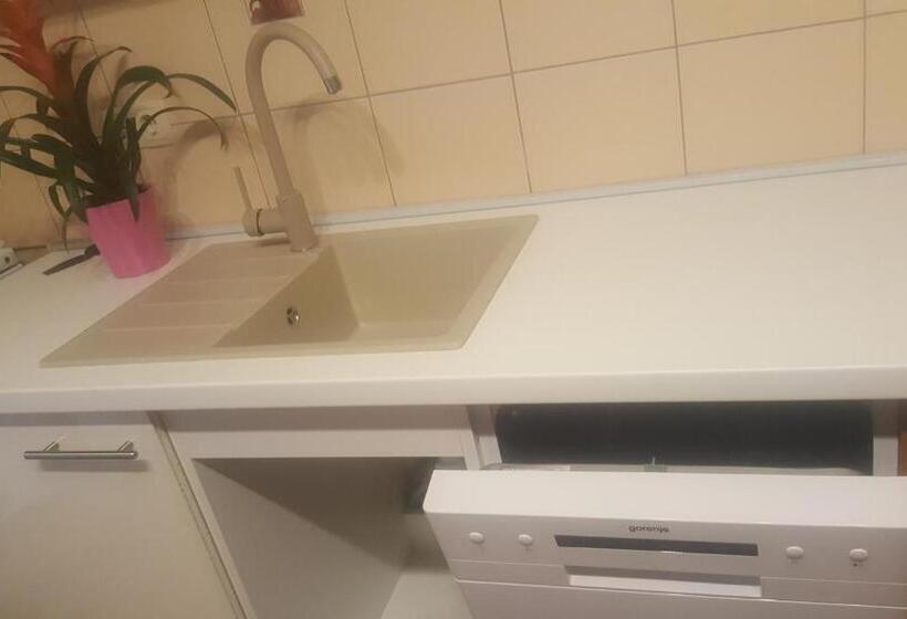 침실 1개 테라스 아파트, Palma Guesthouse
