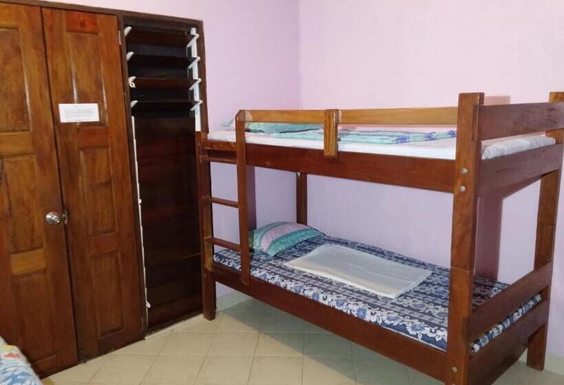 اتاق خانوادگی, Bluepango Guest House