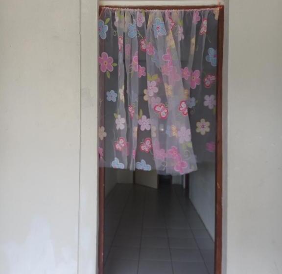 استودیوی استاندارد, Bluepango Guest House