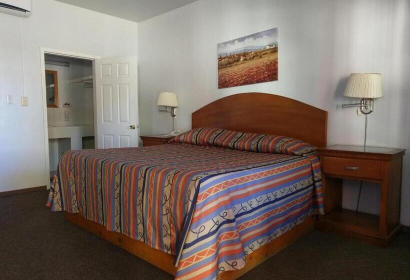 Номер Стандарт, Del Camino