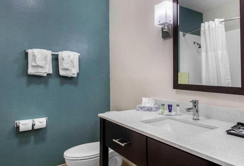 套房, Mainstay Suites Big Spring North I 20