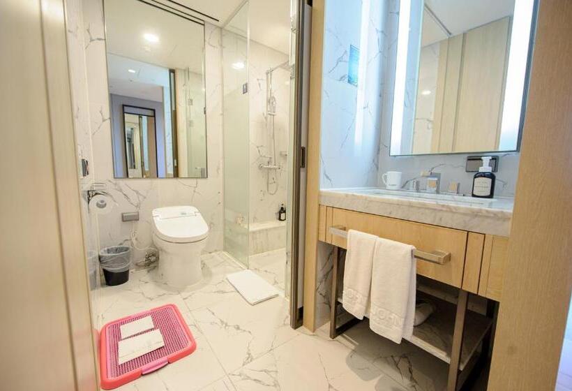 غرفة قياسية مطلّة علي البحر, St.john S