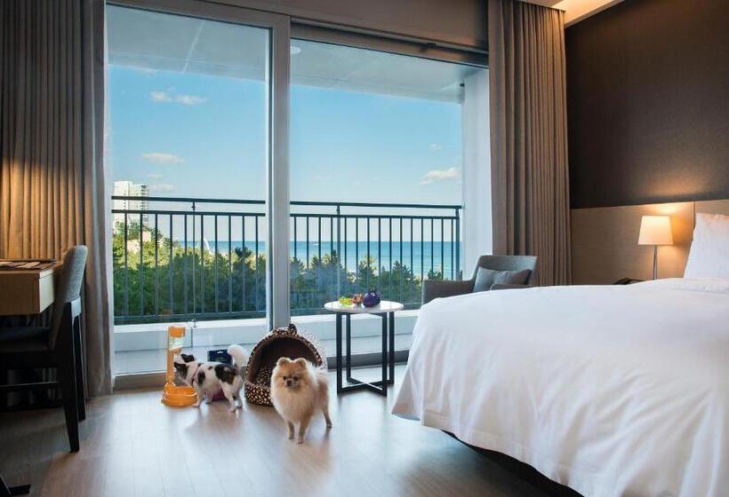 غرفة قياسية مطلّة علي البحر, St.john S