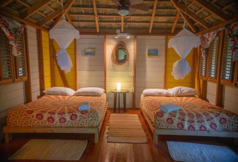 اتاق استاندارد, Aventura Rincon Ecolodge