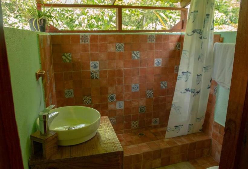 اتاق استاندارد, Aventura Rincon Ecolodge