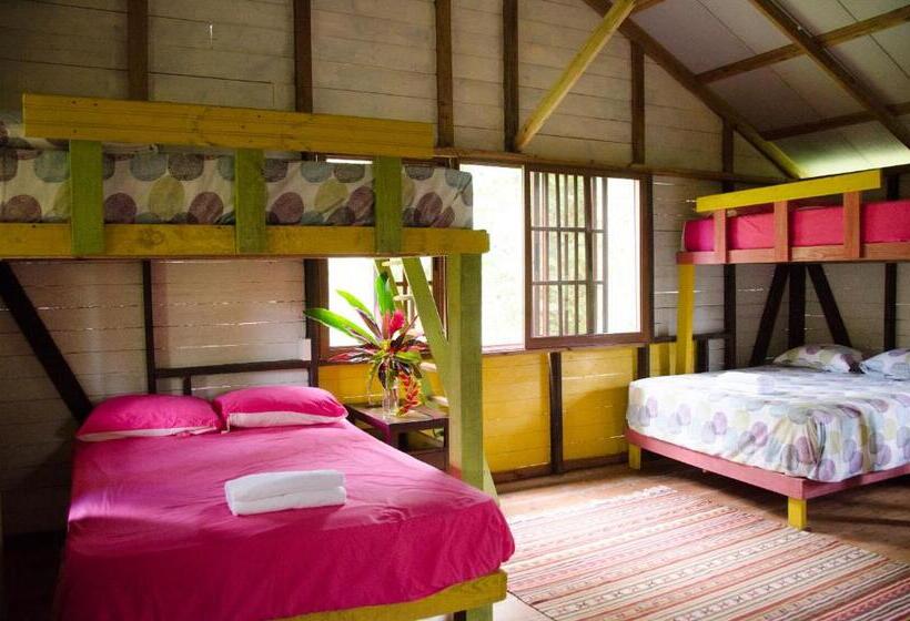 اتاق خانوادگی با چشمانداز باغ, Aventura Rincon Ecolodge