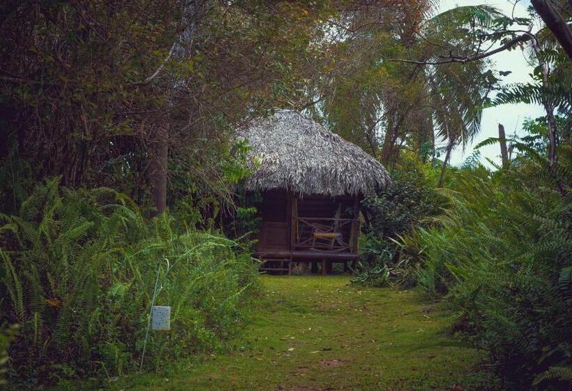 بانگلوی استاندارد, Aventura Rincon Ecolodge
