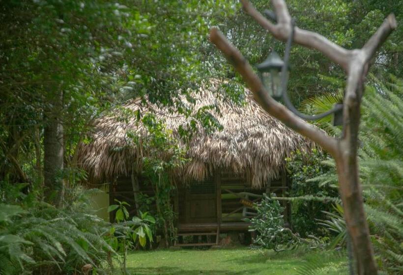 بانگلوی استاندارد, Aventura Rincon Ecolodge