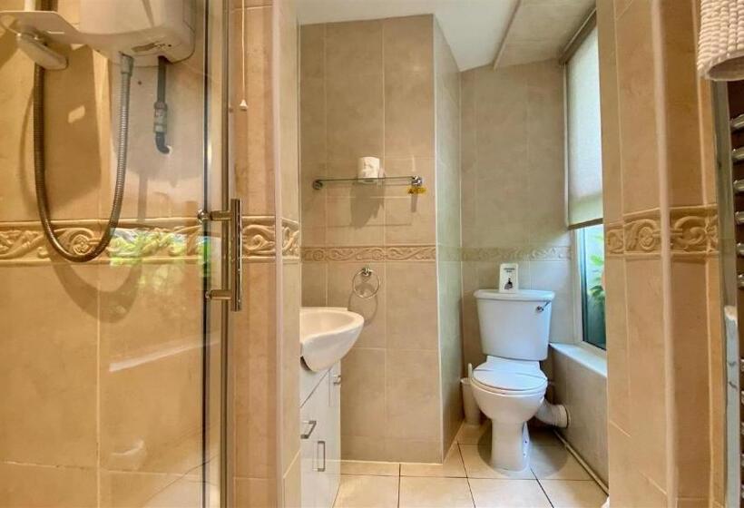 シングルデラックスルーム, Hafan Artro