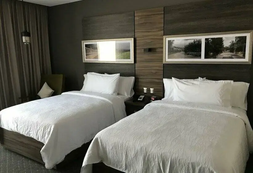 اتاق استاندارد با 2 تخت دوبل, Hilton Garden Inn Aguascalientes
