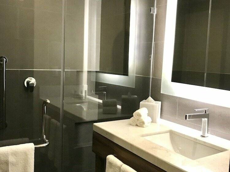 Standaardkamer met 2 Tweepersoonsbedden, Hilton Garden Inn Aguascalientes