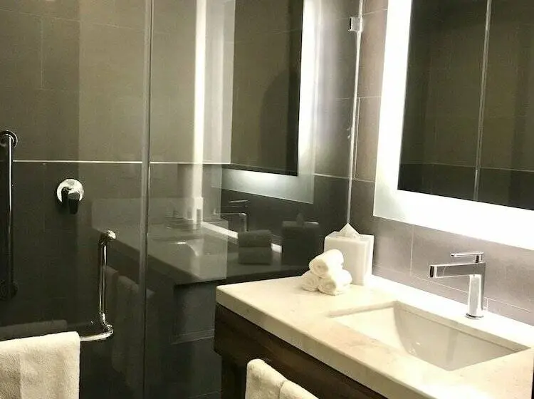 اتاق استاندارد با 2 تخت دوبل, Hilton Garden Inn Aguascalientes