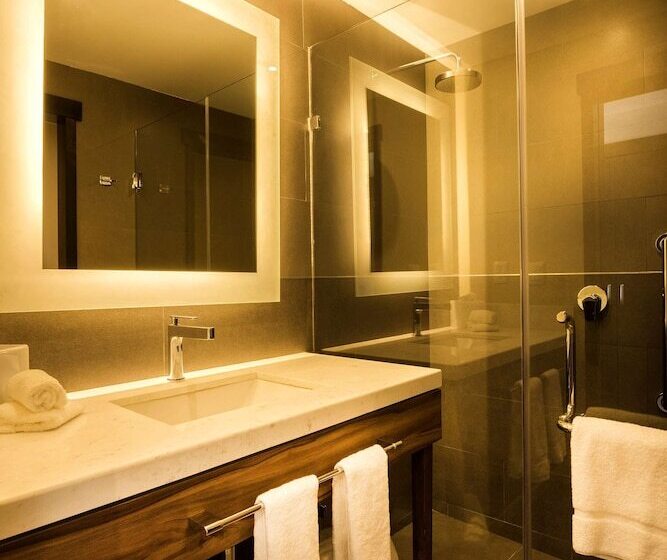 Deluxe Kamer, Hilton Garden Inn Aguascalientes