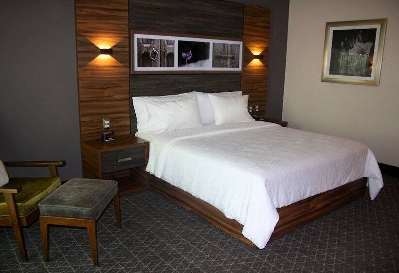 Deluxe Kamer, Hilton Garden Inn Aguascalientes
