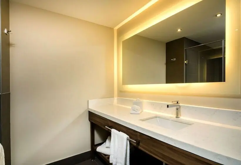سوییت جونیور, Hilton Garden Inn Aguascalientes