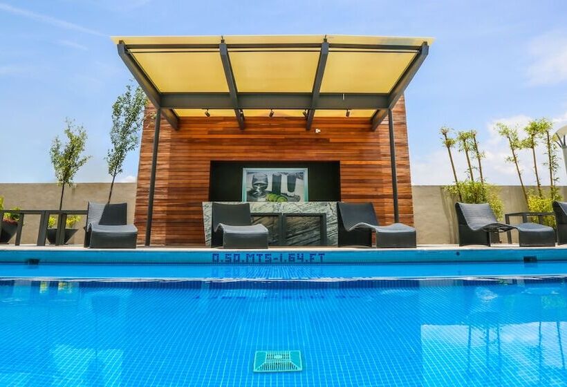 Junior Suite, Hilton Garden Inn Aguascalientes