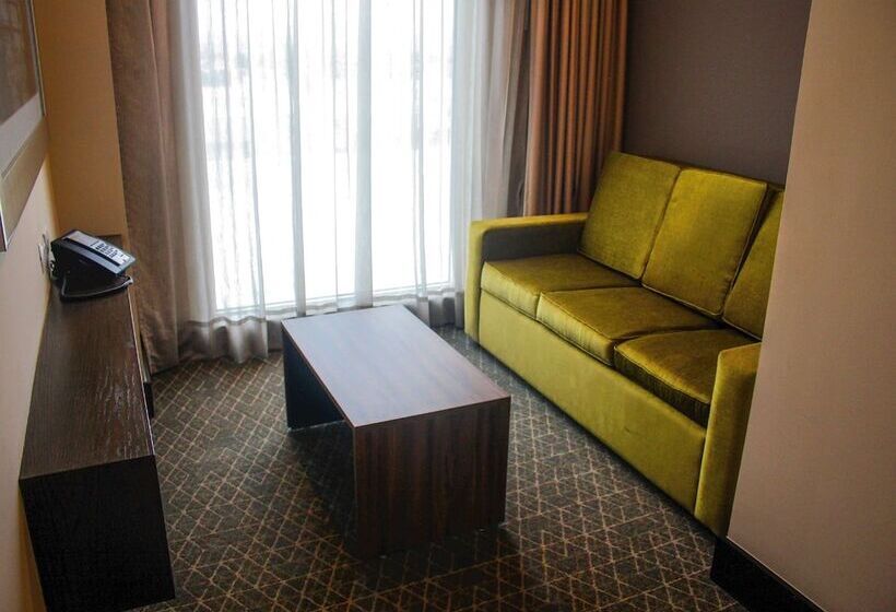 Junior Suite, Hilton Garden Inn Aguascalientes