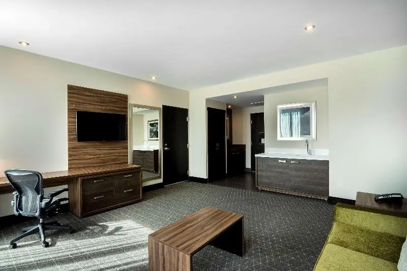 سوئیت با تخت بزرگ, Hilton Garden Inn Aguascalientes