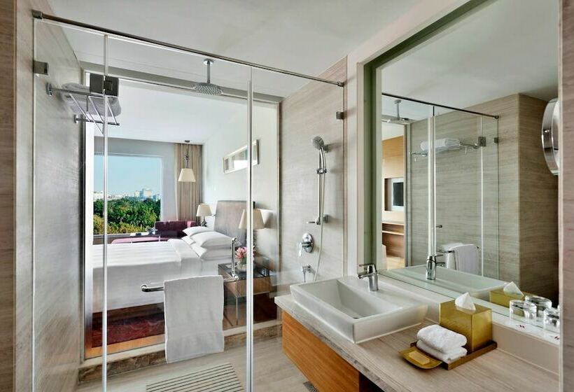 غرفة ديلوكس, Indore Marriott