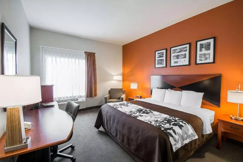 スイート, L Hotel Du Lac