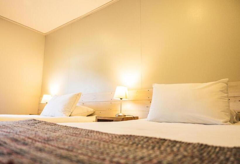 Номер Стандарт Индивидуальный, Fio Fio