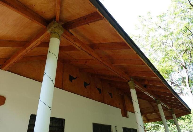 ویلای 1 خوابه, Residence Maison Müge