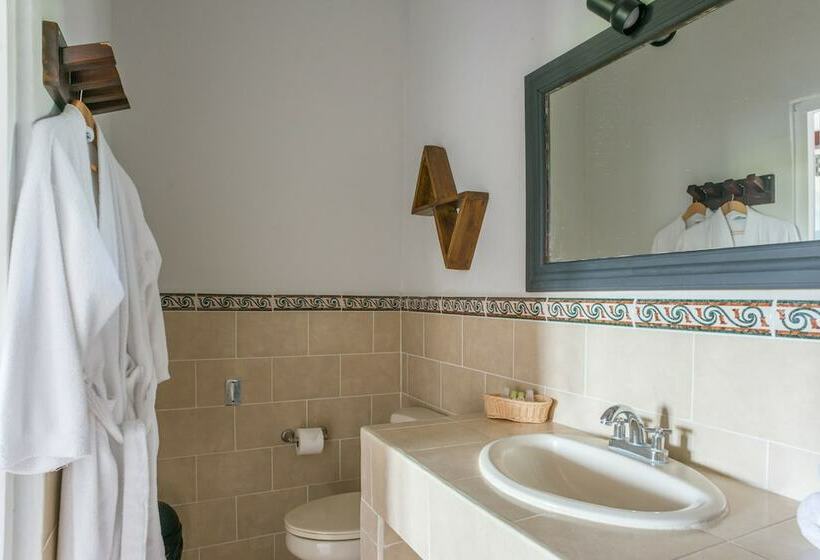 اتاق استاندارد, Socialtel Granada Formerly Selina Granada