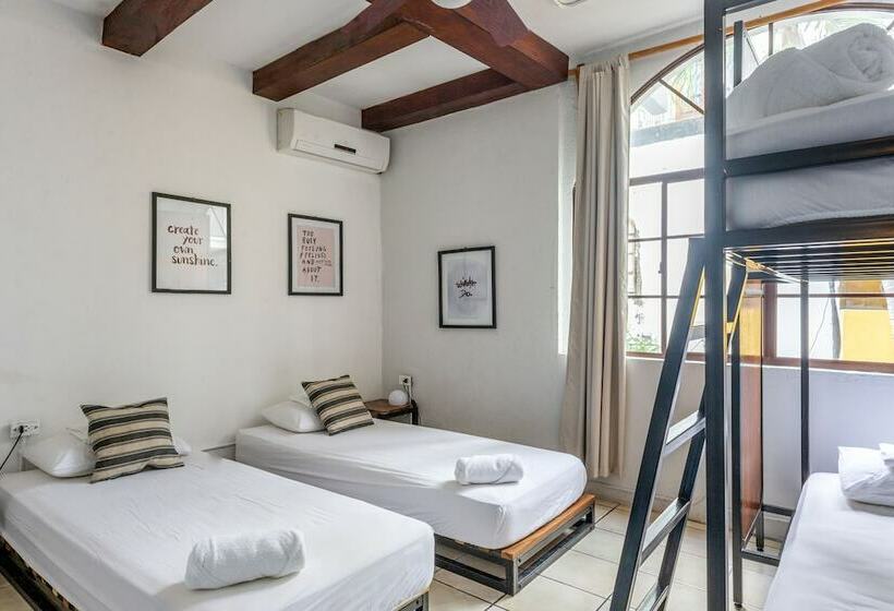 تختخواب در اتاق مشترک, Socialtel Granada Formerly Selina Granada