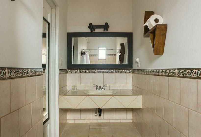 تختخواب در اتاق مشترک, Socialtel Granada Formerly Selina Granada