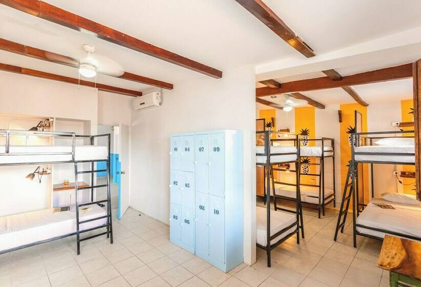 تختخواب در اتاق مشترک, Socialtel Granada Formerly Selina Granada