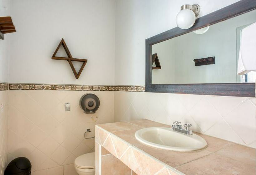 تختخواب در اتاق مشترک, Socialtel Granada Formerly Selina Granada