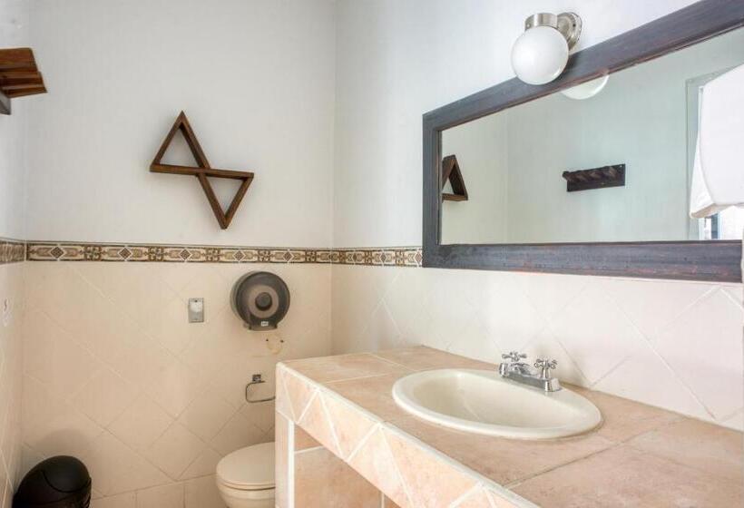 تختخواب در اتاق مشترک, Socialtel Granada Formerly Selina Granada