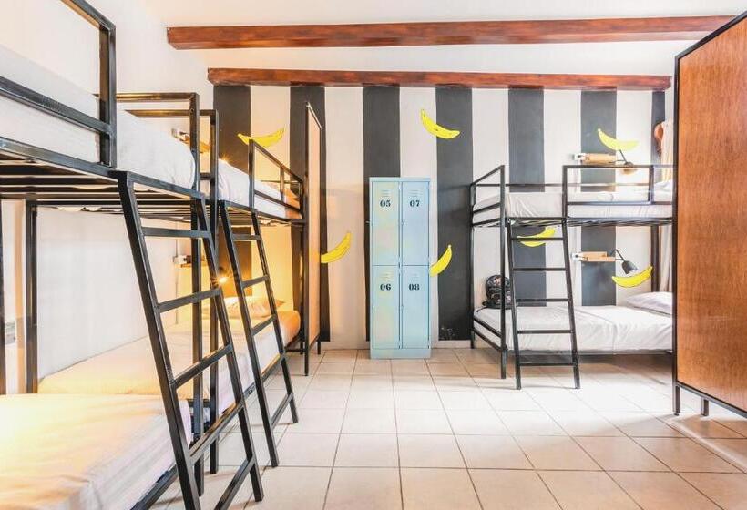 تختخواب در اتاق مشترک, Socialtel Granada Formerly Selina Granada