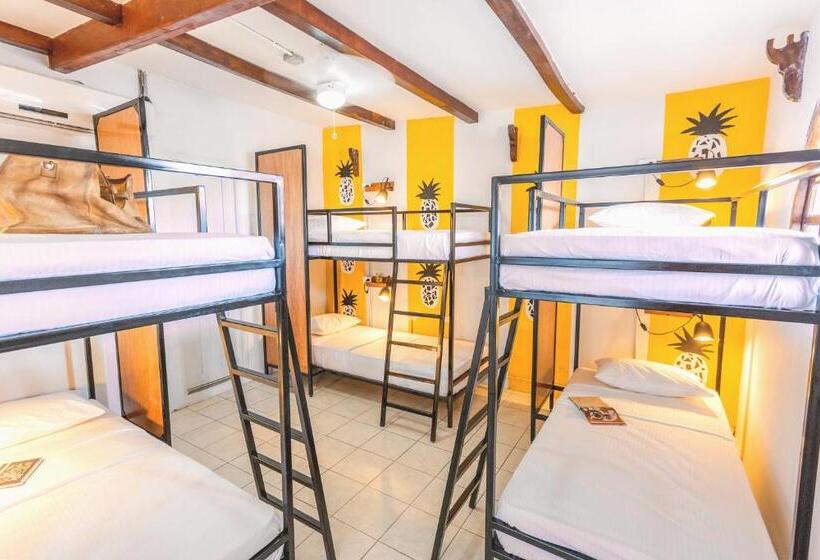 تختخواب در اتاق مشترک, Socialtel Granada Formerly Selina Granada