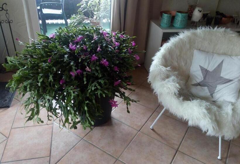 标准间, Landhotel Alte Mühle