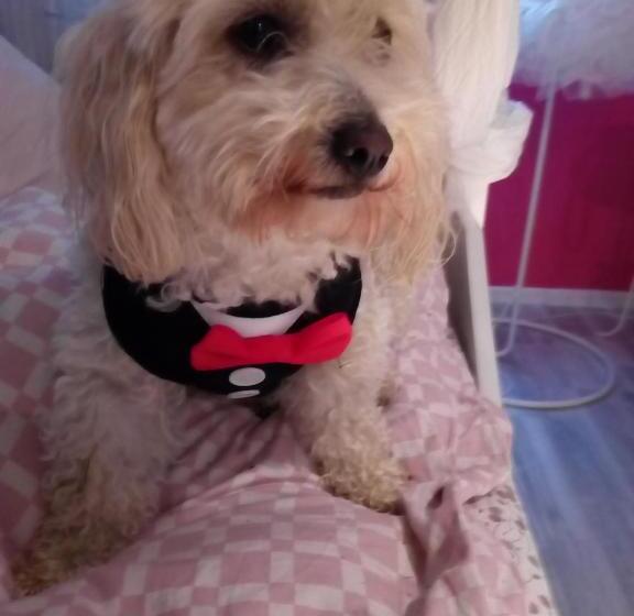 标准间, Landhotel Alte Mühle