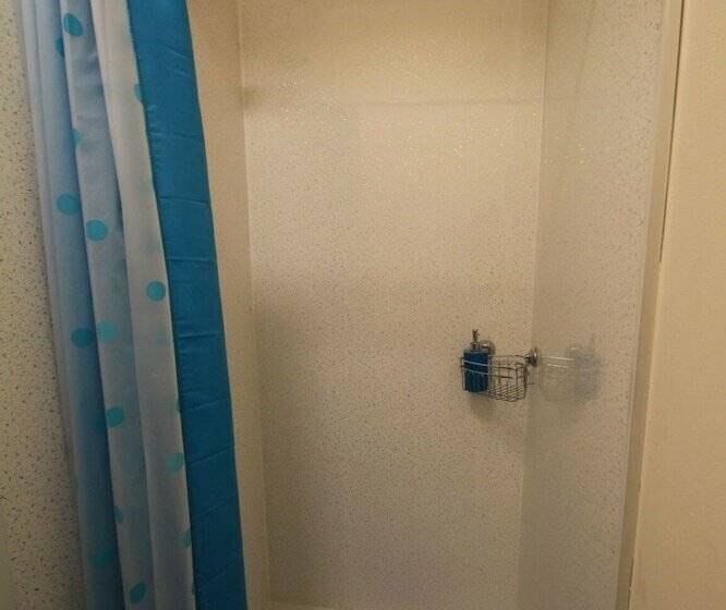 공동 객실, Hull Trinity Backpackers