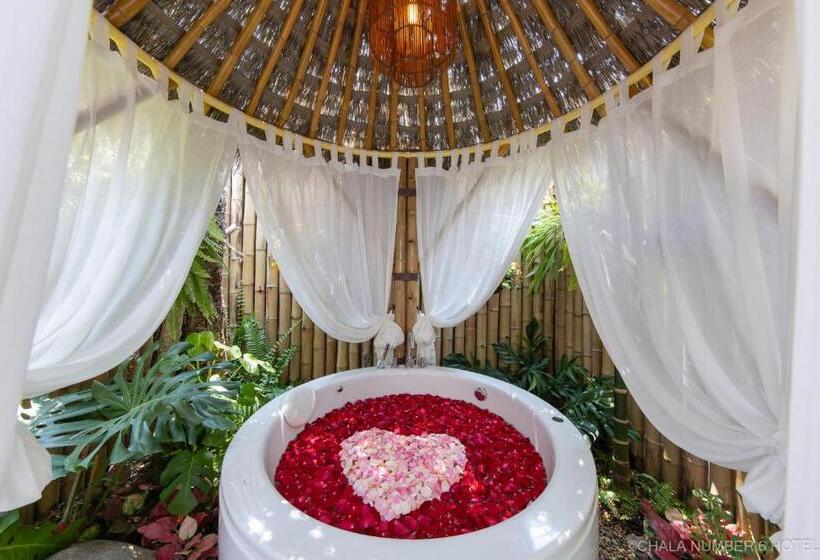 غرفة ديلوكس مزوَّدة بجاكوزي, Chala Number6