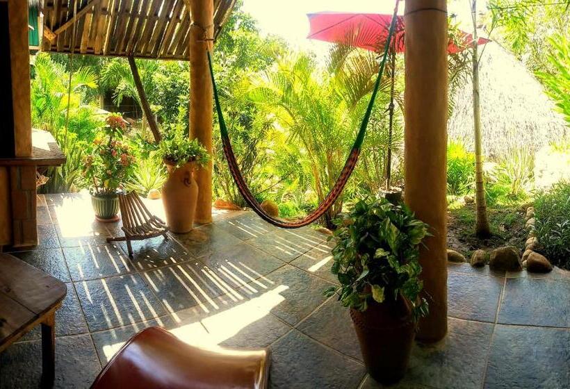 اتاق استاندارد اینتریور, Posada Olivo