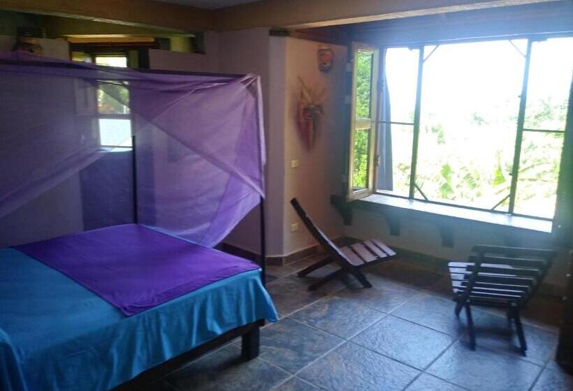 اتاق استاندارد, Posada Olivo