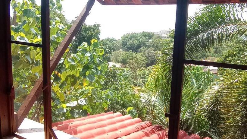 اتاق استاندارد, Posada Olivo