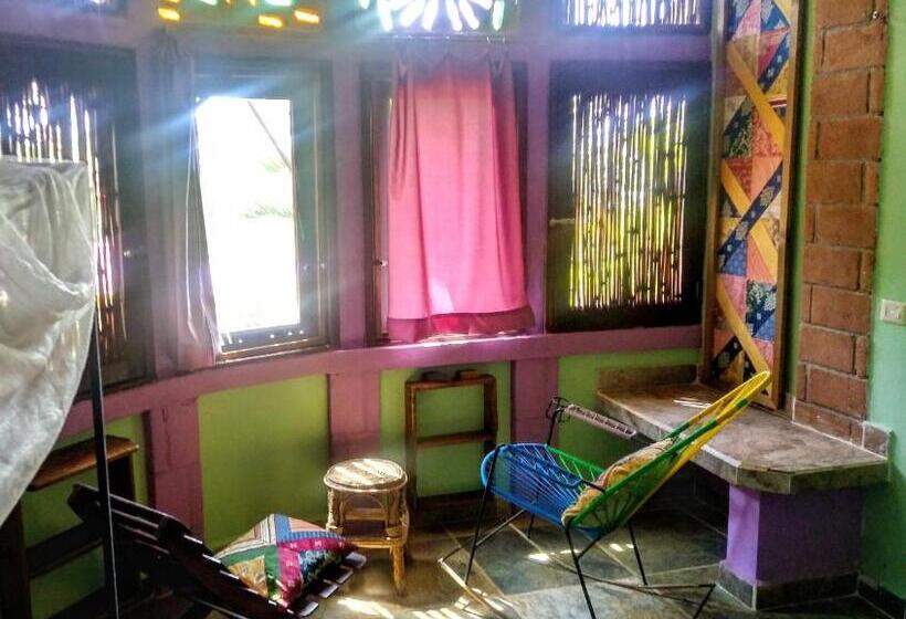 اتاق استاندارد, Posada Olivo