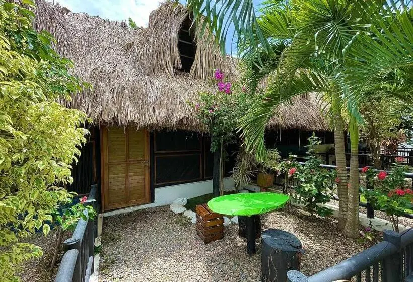 اتاق خانوادگی, Bikini Hotel & Pool